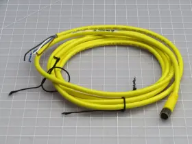 889P-F4AB-2 ALLEN BRADLEY Cord Set