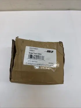 TR501 ASCOT Pack Tubeless Valve Stem