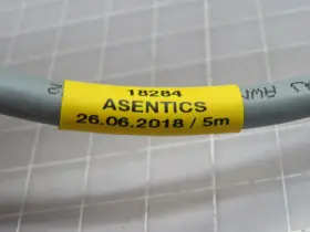 18284 ASENTICS Cable #2