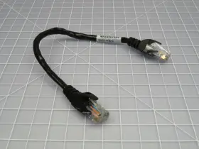 32P1667 AVOCENT Cable #2
