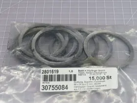 30755084 BARTH PFINGER High Pressure Seal #2
