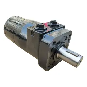 757510605781 BUZILE Cycloid Motor #2