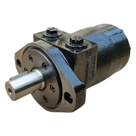 768253250114 BUZILE Motor