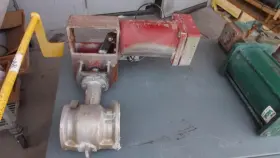 133645 CAJUN Butterfly Valve