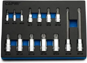 Cpxznbitsocketsets CAPRI TOOLS Xzn Triple Square Bit Socket