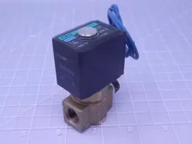 FWB31-8-5-02C CKD Water Valve