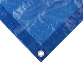 555888 DEWITT Tarp Canopies