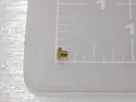 10173-01401 FASTENAL Rivets #2
