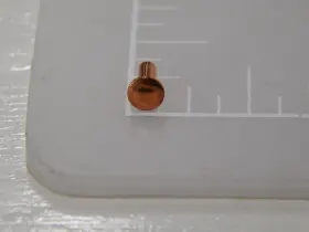 10173-01443 FASTENAL Rivets #3