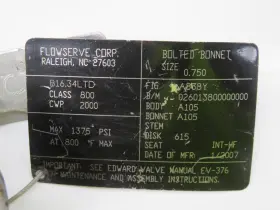 B16.34LTD FLOWSERVE Bolted Bonnet Valve #3
