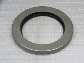 21086-2516 GARLOCK Seals Bearing