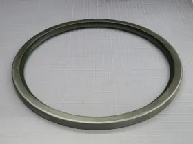21852-4180 GARLOCK Klozure Oil Seal #2