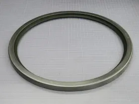 21852-4180 GARLOCK Klozure Oil Seal