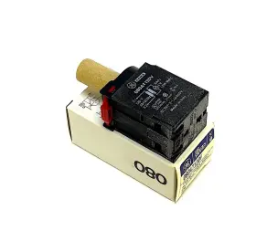080AT120V GE Indicator Light