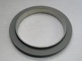 66228N GRAYLOC Graphite Coated Seal Ring