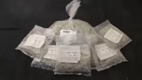 544033 GREENVILLE TECHNICS Pin Pcmt #2