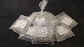 544033 GREENVILLE TECHNICS Pin Pcmt