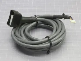 CB-RCP2-PB030 IAI Cable #2