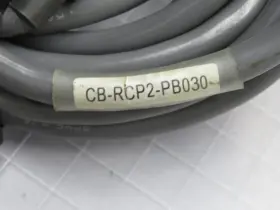 CB-RCP2-PB030 IAI Cable #3