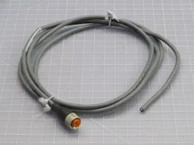 4-646-2M LUMBERGAUTOMATION Rkt Single Ended Cordset
