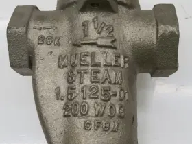 1.5-125-01 MULLER Steam Trap Strainer #3