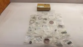 105462A NORDSON Ring Service Kit