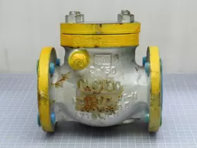 180-HF8 PACIFIC VALVE Check Body #2