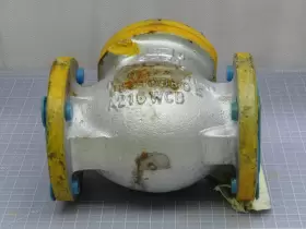 180-HF8 PACIFIC VALVE Check Body #3