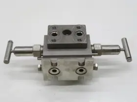 316SS-M3 PGI Hydraulic Valve Manifold #2