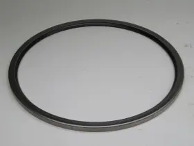 1968462 SKF Oil Seal