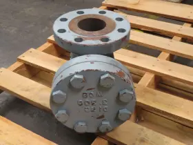 BF-300C SURE FLOW Flanged Basket Strainer #2