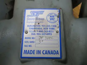 BF-300C SURE FLOW Flanged Basket Strainer #3
