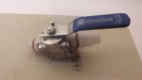 R76666TT SVF FLOW CONTROLS Steel Valve
