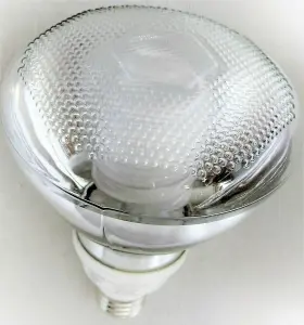 PF3823-2700K Flat Fluorescent Bulb