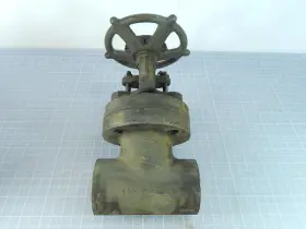 B-40407 VOGT VALVE Gate