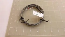G502561 WATLOW Thermocouples