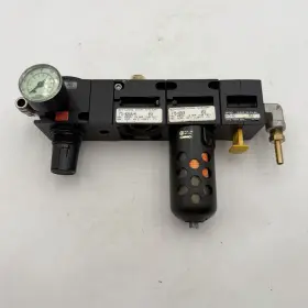 R75-02CG WATTS FLUIDAIR Frl Npt Manifold
