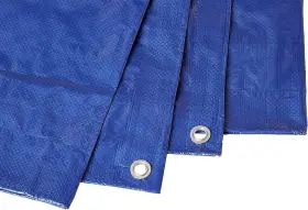 ATB50X100 WEN Poly Tarp Grommets Multipurpose