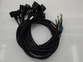 E452N3N10022C4L WOODHEAD Actuator Cordset Cable