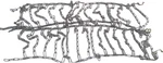 John Deere Tire Chains Bg10188 New Oem. Fixed Price $65.40.