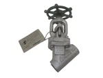 Flowserve B16.34ltd Valve Nsnp. Fixed Price $58.00.