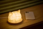 Cat Face Usb Table Lamp Animal Light Kitten Jpn Artist New. Fixed Price $189.00.