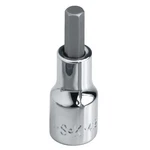 Sk Professional Tools 41403 Socket, Steel, Chrome, 4 Mm 12a262. Fixed Price $19.52.