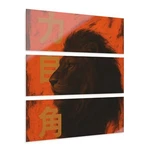 Lion Triptych Acrylic Wall Art Bold Modern Jungle Decor 3 Panel Animal Print. Fixed Price $415.15.