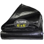 Heavy Duty Waterproof 6x6ft Poly Tarp Cover For Camping, Car, Pool, Emergency. Fixed Price $20.81.