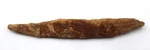 Hybodus Shark Dorsal Fin Spine Real Fossil 6 Inch. Fixed Price $49.99.