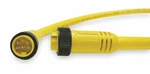 Brad Harrison 8 Amp Female Straight Male Cord 116020a01f060. Fixed Price $58.30.