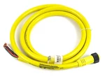 Woodhead Molex 130006-1163 Sensor Actuator Cable Mc 5p Fp 16awg 1.83m Pvc. Fixed Price $64.99.