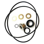 Multiquip Oem Mechanical Seal Kit Kit4th For Qp4th, Qp4tz Water Pump. Fixed Price $289.00.