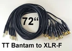 6 New 72" Gold Tt Bantam To Xlr-f Female Black Patch Cables Foot Quad Core. Fixed Price $74.95.